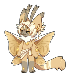 Broken image link