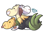 Broken image link