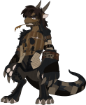 Broken image link