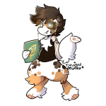 Broken image link