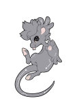 Broken image link