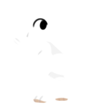 Broken image link
