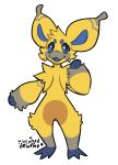 Broken image link