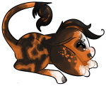 Broken image link