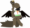 Broken image link