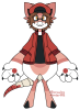 Broken image link