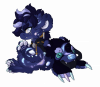 Broken image link