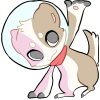Broken image link