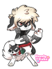 Broken image link
