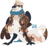 Broken image link