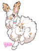 Broken image link