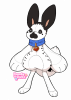 Broken image link