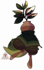 Broken image link