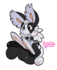 Broken image link