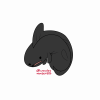 Broken image link