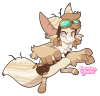 Broken image link