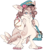 Broken image link