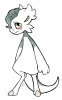Broken image link