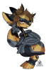 Broken image link