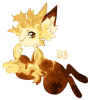 Broken image link