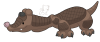 Broken image link